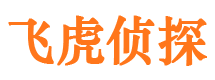 寿县市侦探调查公司